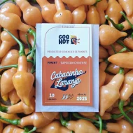 Cabacinha Laranja – Image 4