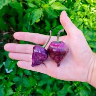 Purple UFO