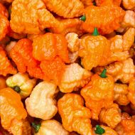 Fried Chicken – Image 3