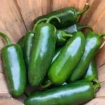Jalapeno – Image 3